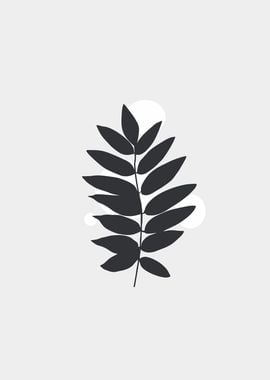 hand drawn leaf black 