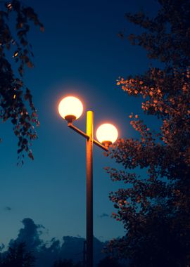 Lamps between the trees