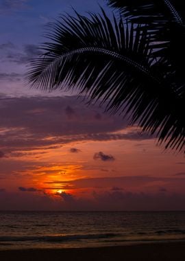 Sunset on the exotic beach