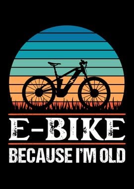 E Bike because Im Old