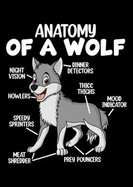 Anatomy Of A Wolf