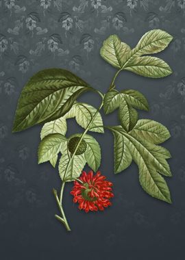 Paper Mulberry Flower