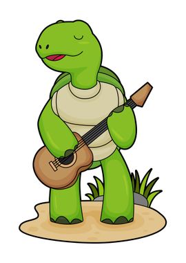 Turtle Guitar Music