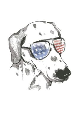 Independence day Dalmatian