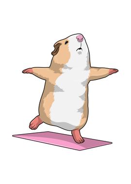 Guinea pig Yoga Meditation