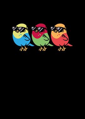 Three birds with sunglasse