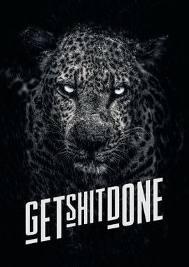 Get Shit Done