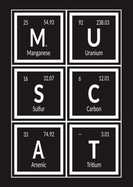 Muscat Elements