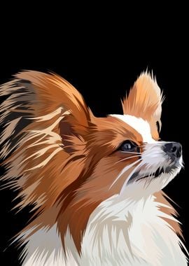 Papillon dog in vector