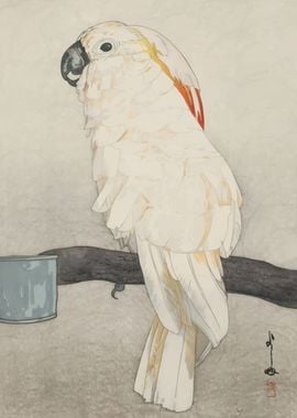 Ukiyo e Cockatoo 1926