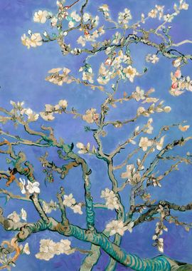 Almond Blossoms in Blue