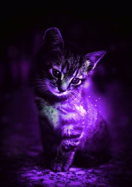 'Purple cat and butterfly' Poster, picture, metal print, paint by Gen Z ...