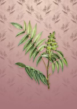 Vintage Staghorn Sumac