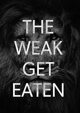 The Weak Get Eaten