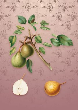 Vintage Pear on Dusty Pink