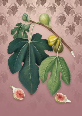 Vintage Fig on Dusty Pink