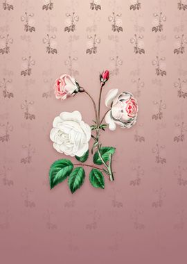 Vintage Ruga Rose Flower