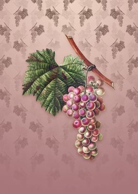 Grape Vine on Dusty Pink