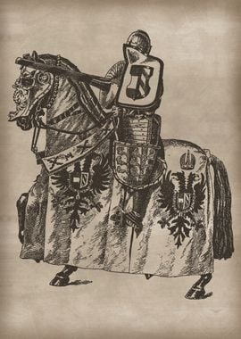 Vintage Knight in Armors