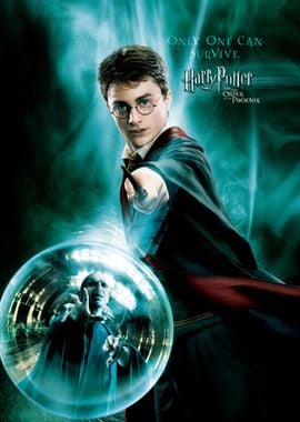 Harry vs Voldemort Poster, Harry Potter Official Poster