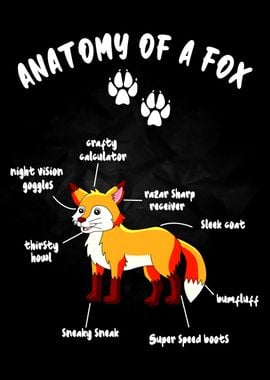 Anatomy of a Fox