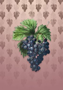 Grape Vine on Dusty Pink