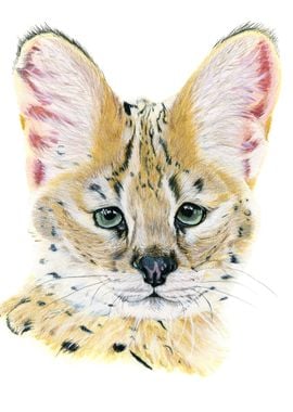 Serval