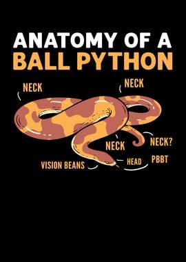 Anatomy Of A Ball Python