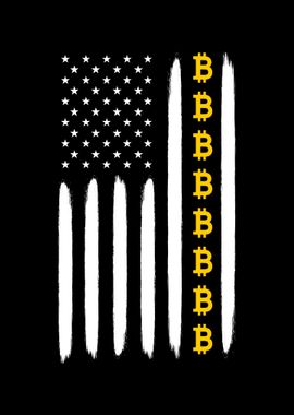 Bitcoin USA Flag Logo