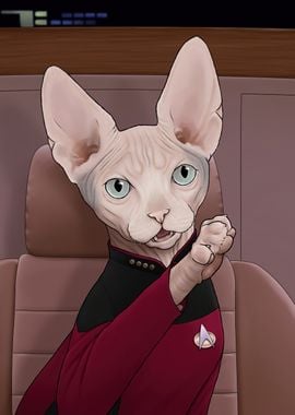 Cat Captain Picard