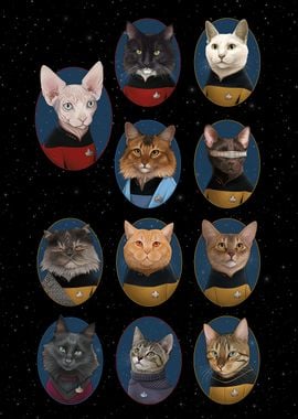 'STNG Characters Catified' Poster, picture, metal print, paint by Star ...