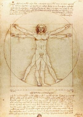 Vitruvian Man