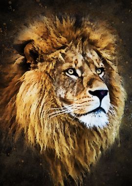 The Lion