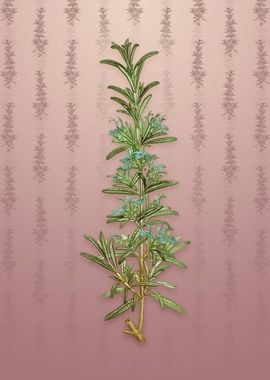 Rosemary on Dusty Pink