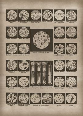 Vintage Microbes