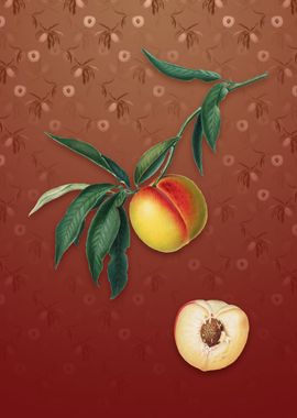 Vintage Peach on Falu Red