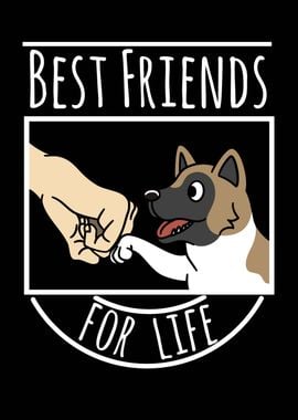 Akita Best Friends