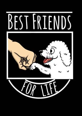 Bichon Frise Best Friends