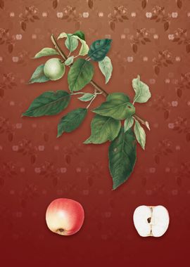 Vintage Apple on Falu Red