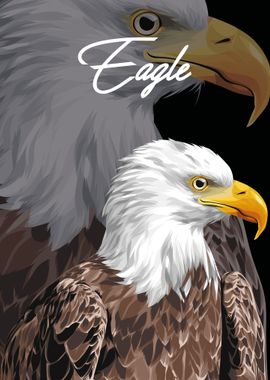 eagle