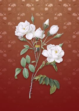 White Rose on Falu Red