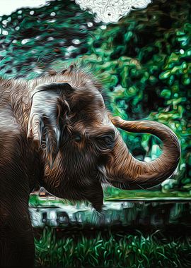 Elephant