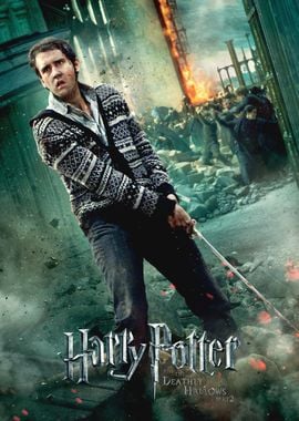 HP8 Neville Longbottom