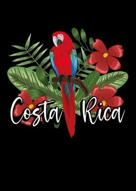 Costa Rica Parrot