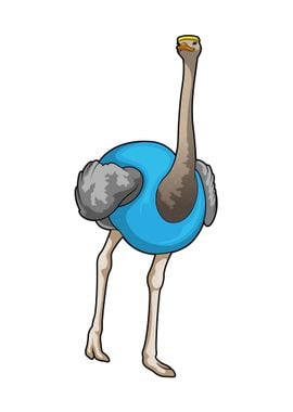 Ostrich Running Fitness