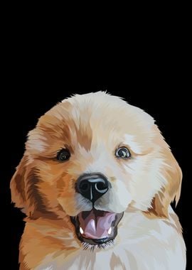 Golden retriever puppy