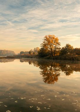 Autumn trees, lake, Poland