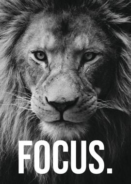 FOCUS Lion Motivation