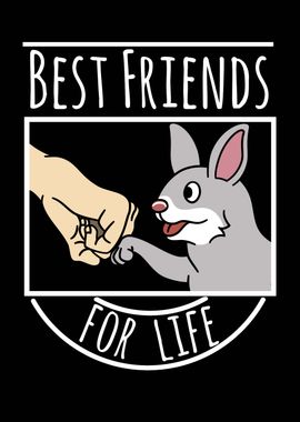 Rabbit Best Friends