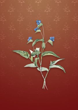 Vintage Blue Spiderwort